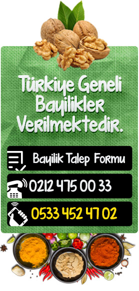 Bayilik